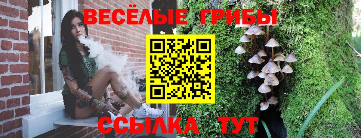 Псилоцибиновые грибы мухоморы Ставрополь