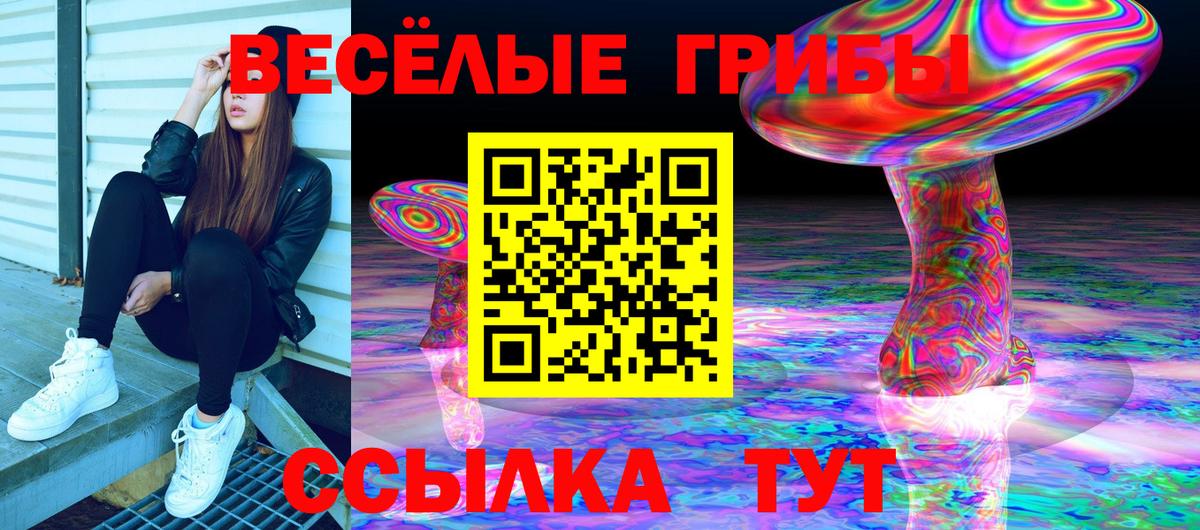 Ставрополь  Псилоцибиновые грибы мухоморы  Вход с VPN  Псилоцибиновые грибы Psilocybe 